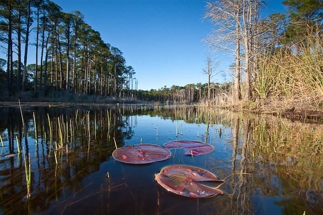 topsail hill preserve state park 